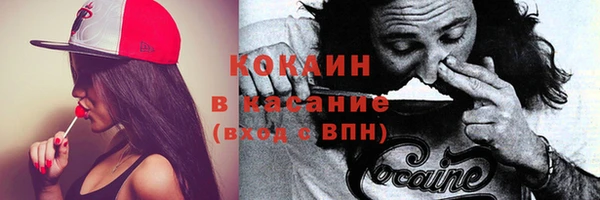 ПСИЛОЦИБИНОВЫЕ ГРИБЫ Семилуки