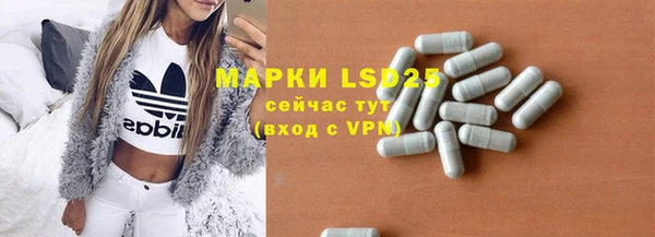 прущие грибы Бугульма