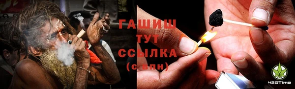 apvp Верея