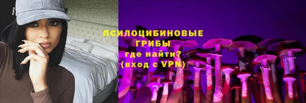 ПСИЛОЦИБИНОВЫЕ ГРИБЫ Семилуки