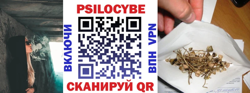 Галлюциногенные грибы MAGIC MUSHROOMS  OMG ССЫЛКА  маркетплейс наркотические препараты  Ставрополь 